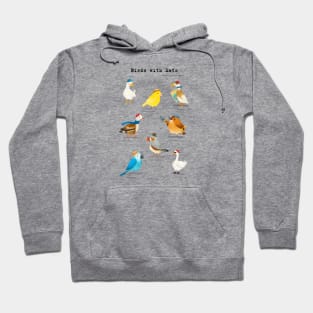 Birds with Hats - Text in Black Hoodie